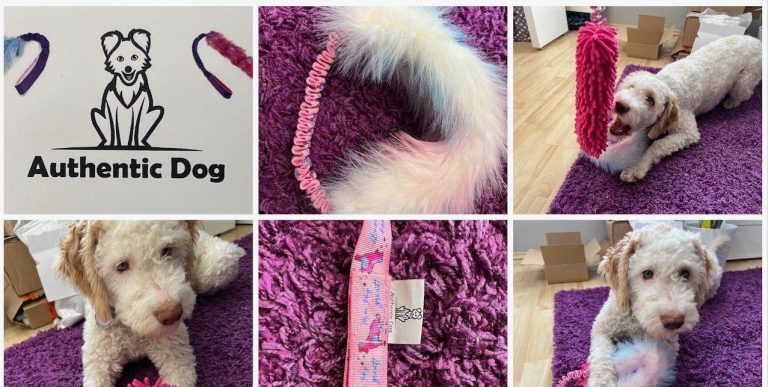 Zergel von Authentic Dog