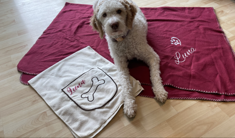 BlueFireflyUniverse Hundezubehör – Produkttest mit Luna 🐶