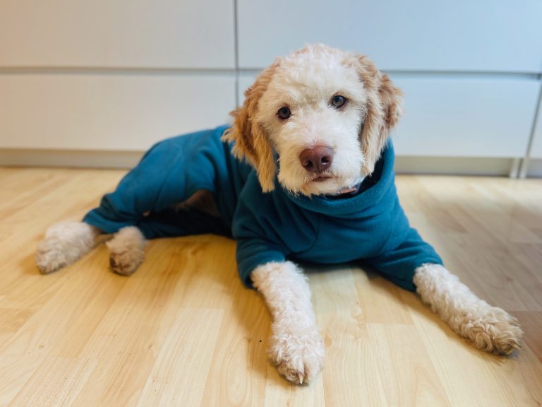 HotDiggidyDogCanada Hundemantel