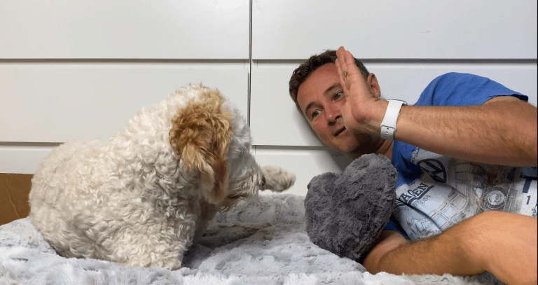Orthopädisches Hundebett von HS-Hundebett.de – unser Erfahrungsbericht 🐶