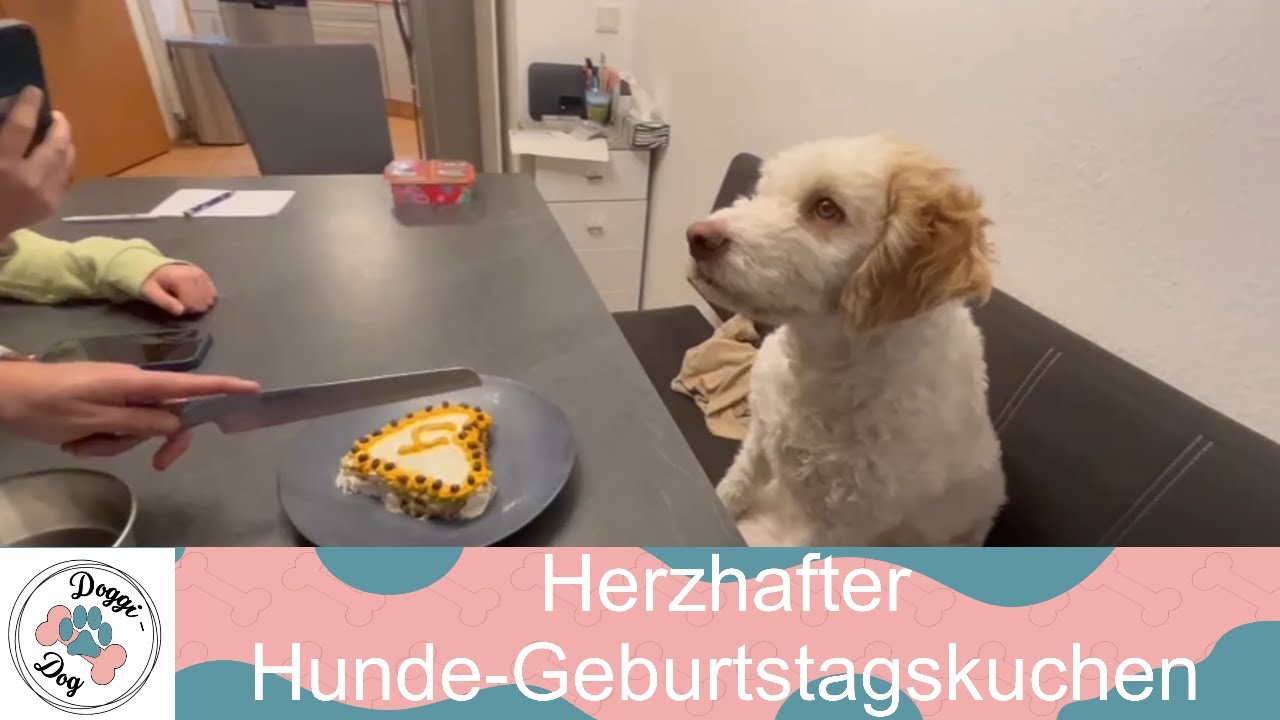 Herzhafter Hunde-Geburtstagskuchen - Doggi-Dog
