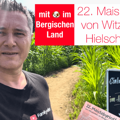 Herzhafter Hunde-Geburtstagskuchen
