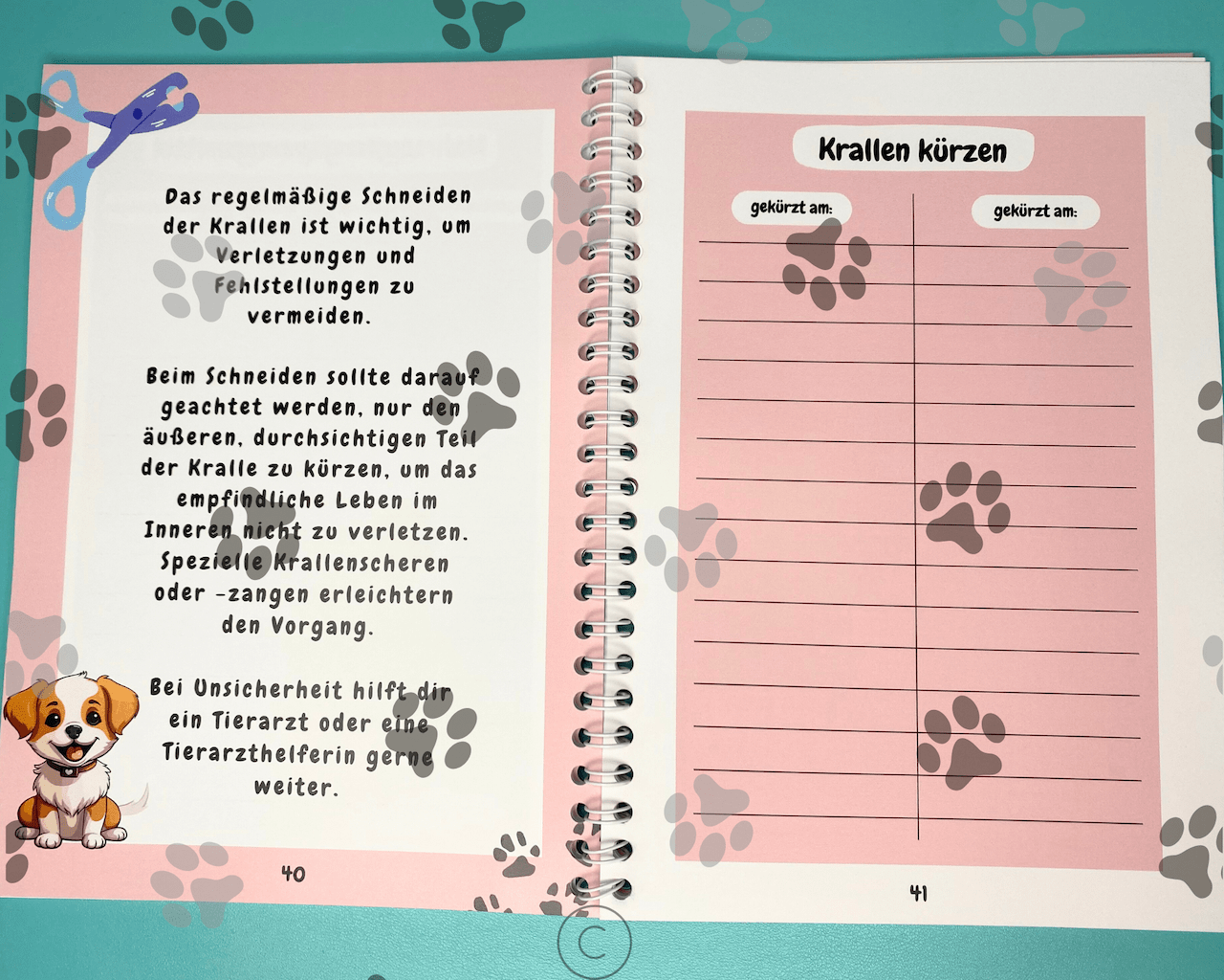 Tiergesundheit Pfotenherz - Gesundheit für Dein Tier - Heft 3 Doggi-Dog.com.png