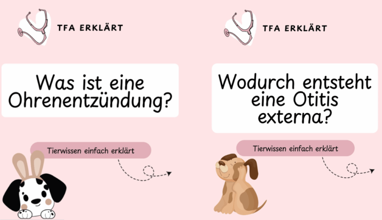 TFA erklärt - Tierwissen einfach erklärt - Ohrenentzündung beim Hund erkennen - Doggi-Dog.com