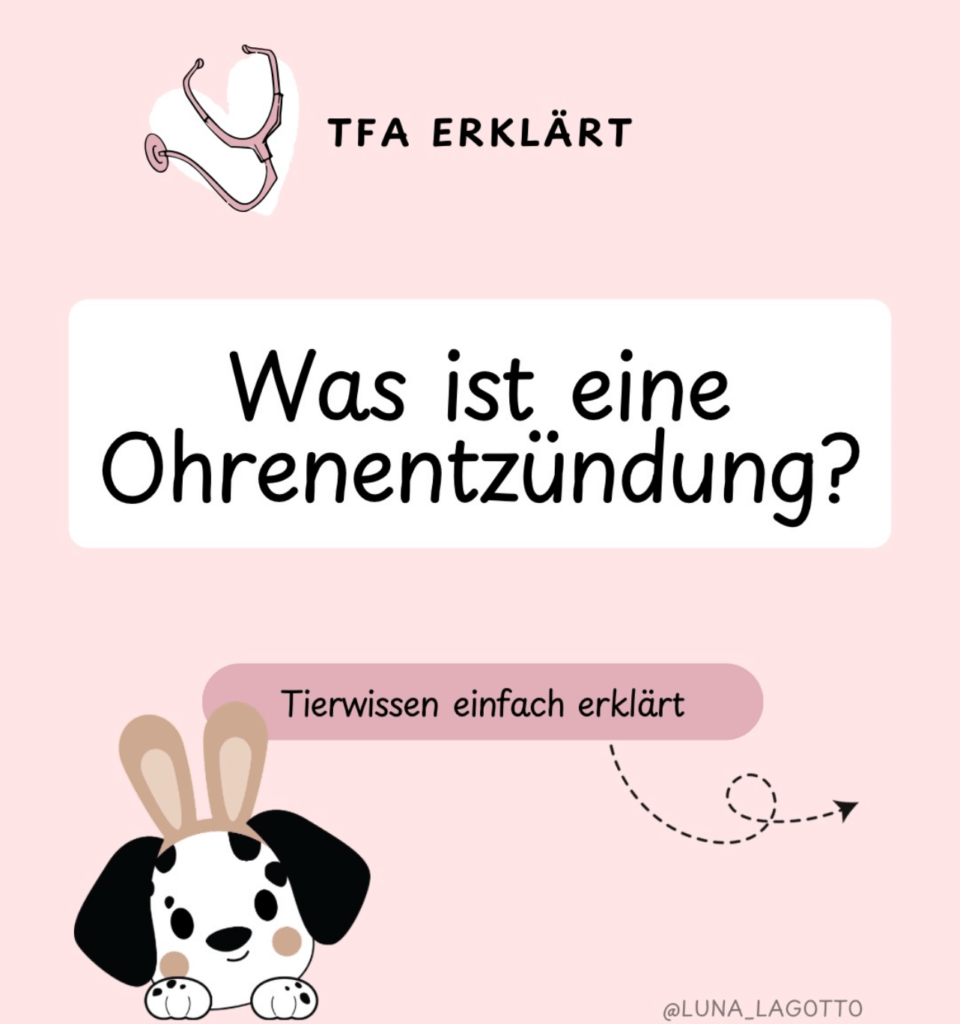 TFA erklärt - Was ist eine Ohrenentzündung? - Doggi-Dog.com