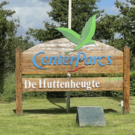 Ohrenentzündung beim Hund erkennen: Symptome, Ursachen und wann du zum Tierarzt solltest