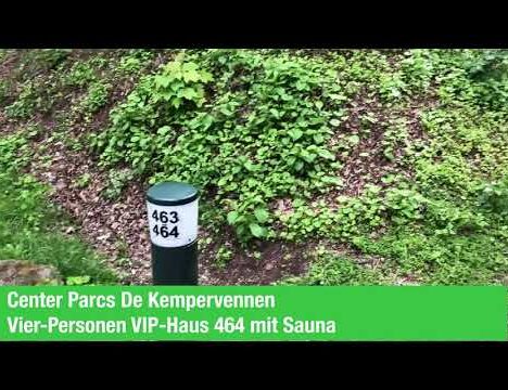 Die große Ferienwohnung in Wölpinghausen – Urlaub mit Hund am Steinhuder Meer 🐶