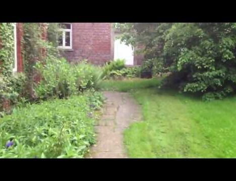 Ilmhaus Gaden in Pförring – Urlaub mit Hund im Ferienhaus in Bayern 🐶