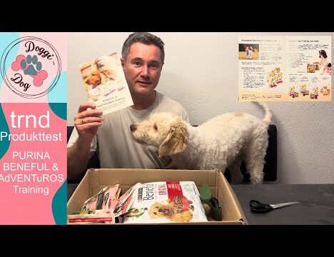 Lunas 5. Wuffday – Hundemuffins und Geschenke zum Wuffday 🐶🎁