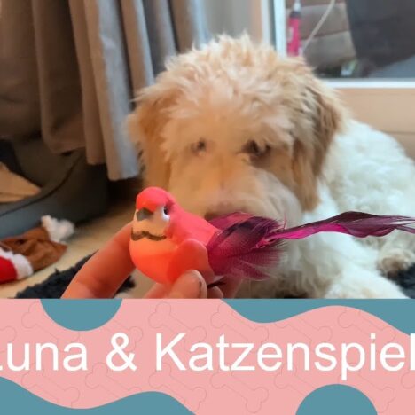 Luna & der Schneemann
