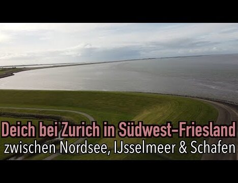 Zwarte Haan mit Hund – Jakobsweg am Wattenmeer 🐶