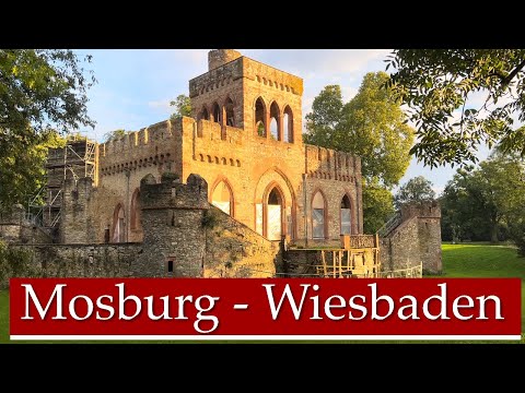 Mosburg in Wiesbaden mit Hund – Burgruine im Biebricher Schlosspark