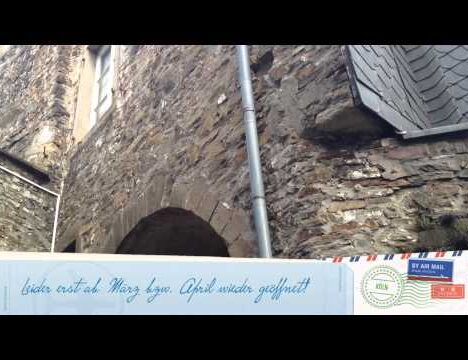 Veste Oberhaus in Passau mit Hund – Festung an der Donau