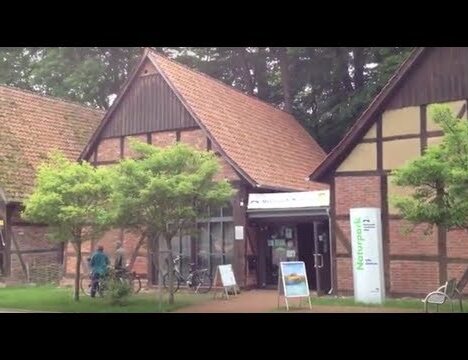 Freizeitpark Schloß Dankern mit Hund – Ein Tag voller Spaß im Erlebnispark
