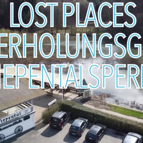 Witthausbusch Mülheim mit Hund – Parkspaziergang im Grünen