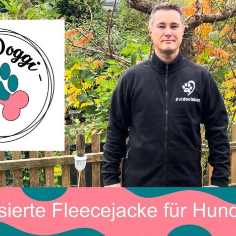 Ordensburg Vogelsang mit Hund – Ausflug in den Nationalpark Eifel 🐶