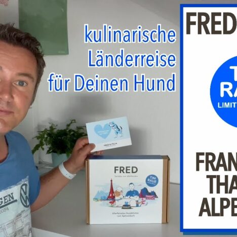 Intelligenzspielzeug Level 1 für Hunde – Test mit unserer Lagotto-Hündin Luna