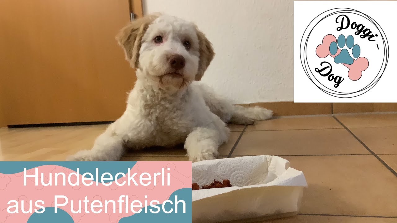 Hundeleckerli aus Putenfleisch - selbstgemacht