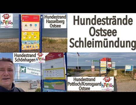 Arnis mit Hund – Die kleinste Stadt Deutschlands an der Ostsee 🐶