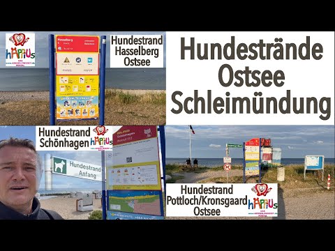 hundestraende schleimuendung