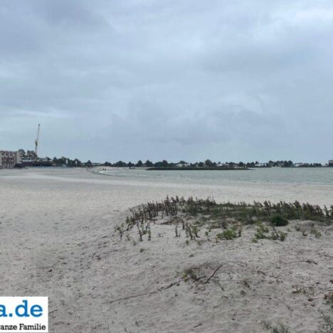 Hundegebiet Makkum mit Hundestrand – Freilauf am IJsselmeer 🐶🏖️