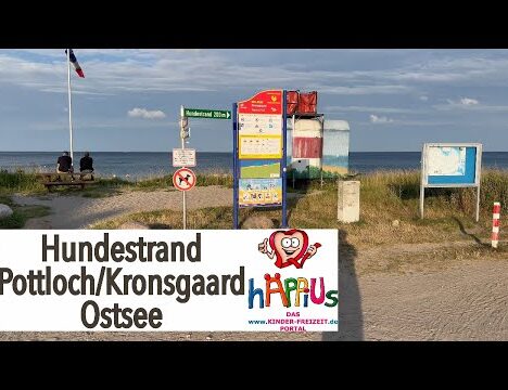 Hundestrand Hasselberg mit Hund – Strandurlaub an der Ostsee 🐶