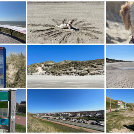 Callantsoog mit Hund – Nordsee-Strandausflug in Nordholland 🏖️🐶