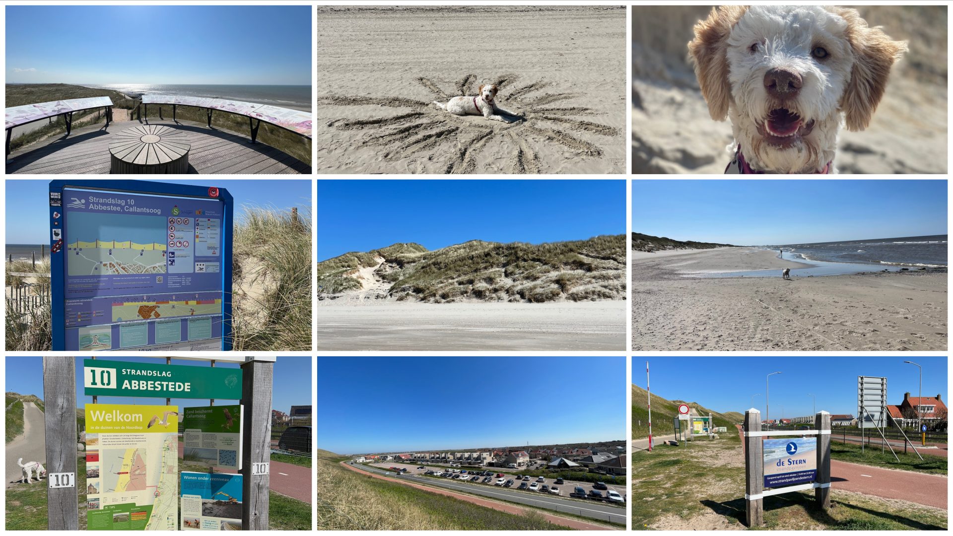 Collage mit neun Bildern von Strandabschnitten, einem Hund im Sand und Informationstafeln an der Küste.