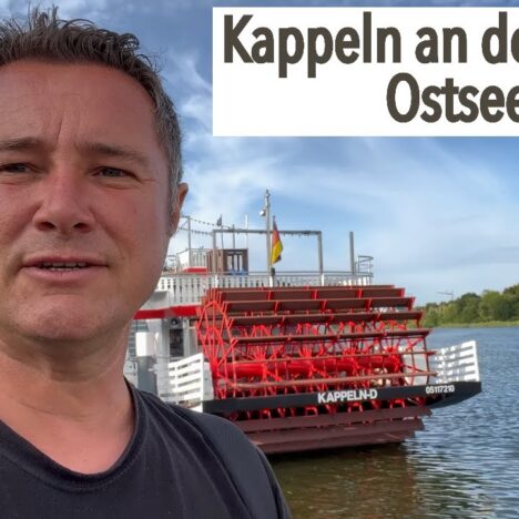 Hundestrande an der Schleimundung mit Hund – Ostsee pur 🐶