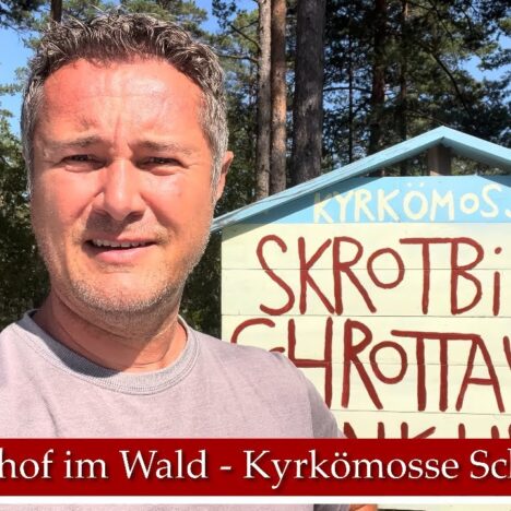 Ales Stenar mit Hund – Steinsetzung bei Ystad in Schweden 🪨🐶
