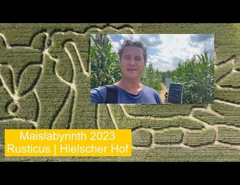 Tiger & Turtle – Magic Mountain in Duisburg: Ausflug mit Hund in den Landschaftspark