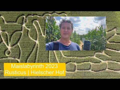 Maislabyrinth auf dem Hielscher Hof in Leichlingen