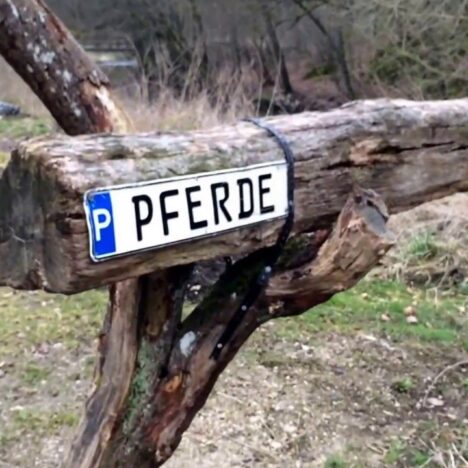 Lost Places Wollseifen mit Hund – Geisterdorf im Nationalpark Eifel 👻🐶