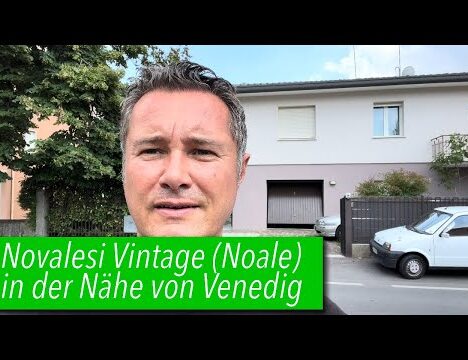Hundemeditation im Auto – Entdecke Lunas entspannte Autofahrt 🐶