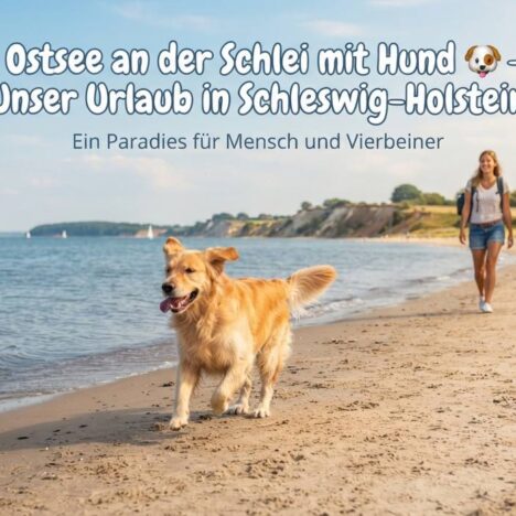 Barfusspark Schwackendorf mit Hund – Barfusserlebnis in Angeln 🐶