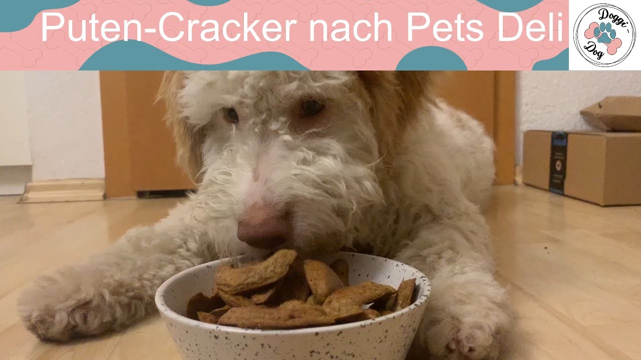 puten cracker hunde