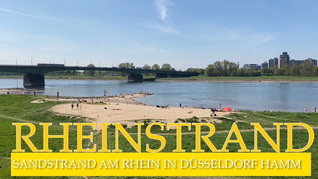 Rheinstrand Düsseldorf Hamm – Sandstrand am Rhein mit Hund