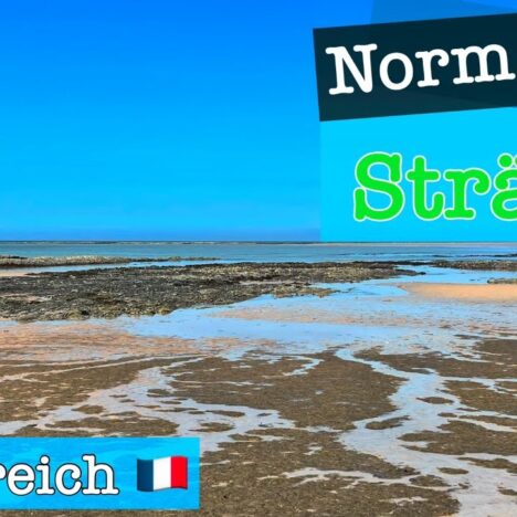 Étretat mit Hund – Kreideklippen und Strand an der Alabasterküste