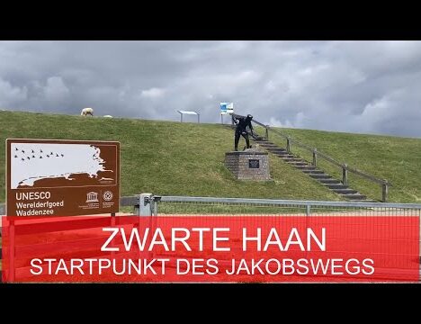 Brocken (Blocksberg) im Harz mit Hund – Wanderung und Brockenbahn – Ausflugsziel 🐶