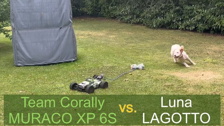 Team Corally Muraco XP 6S RC-Car im Test – Spielzeug für Hund und Halter