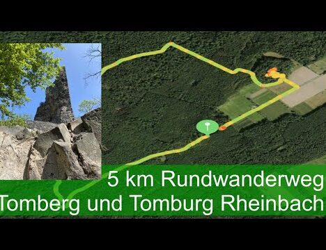 Maislabyrinth auf dem Hielscher Hof – Ein Erlebnis für Hund und Mensch in Leichlingen