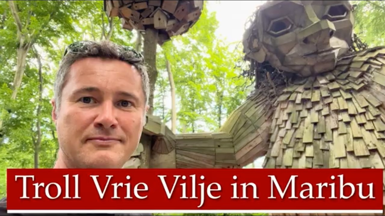 Mann vor hölzernem Trollskulptur im Wald mit Vogelhaus im Hintergrund
