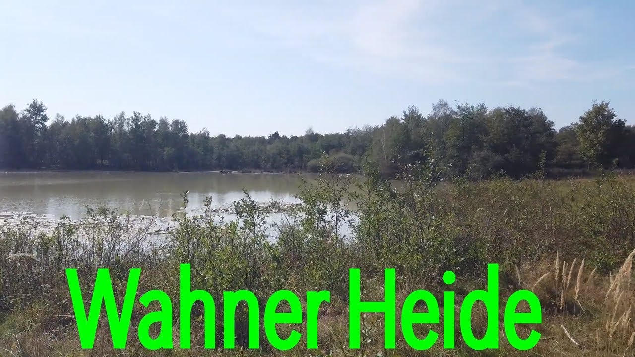 Wahner Heide – Naturschutzgebiet mit Hund an der Leine