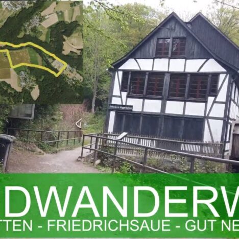 Schloss Benrath mit Hund – Spaziergang im Schlosspark