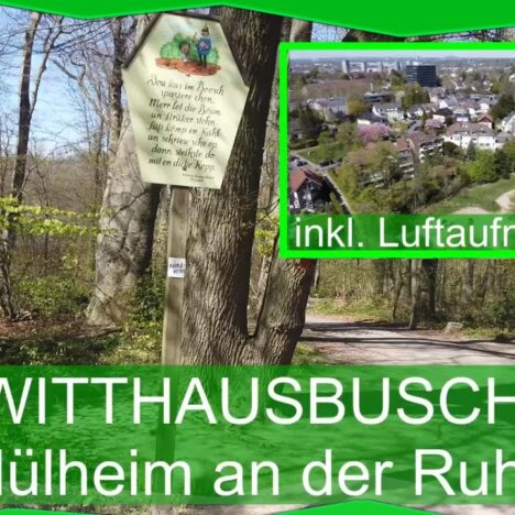 Bevertalsperre mit Hund – Wandern rund um den Stausee