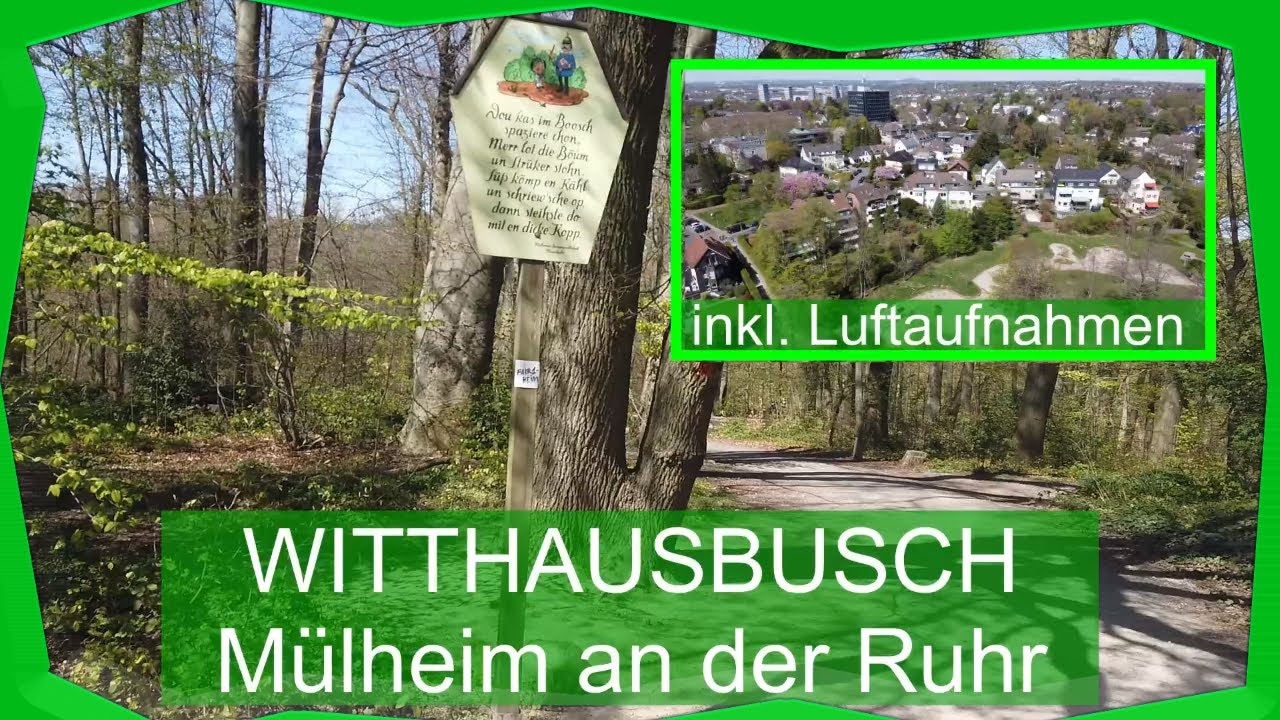Witthausbusch Mülheim – Parkanlage mit Hund