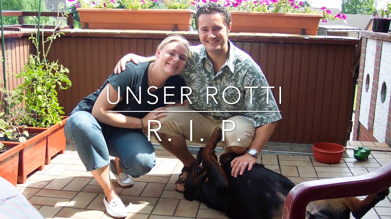 Abschied von Rottweiler Dusty Erinnerung