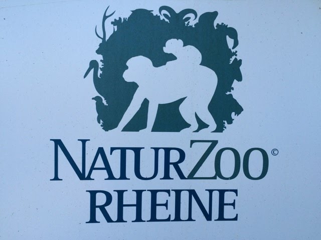 NaturZoo Rheine mit Hund – Zoobesuch im Münsterland