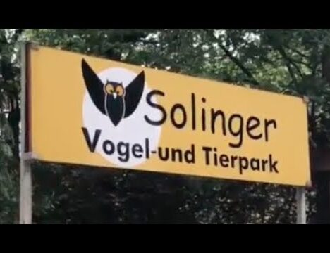 NaturZoo Rheine mit Hund – Zoobesuch im Münsterland