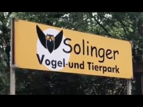 Solinger Vogel- und Tierpark mit Hund – Ausflugstipp im Bergischen